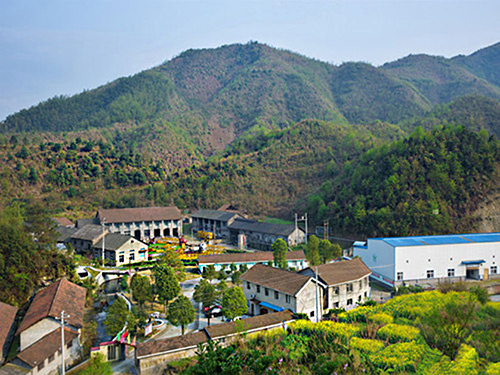 热烈祝贺leyu正式上线！